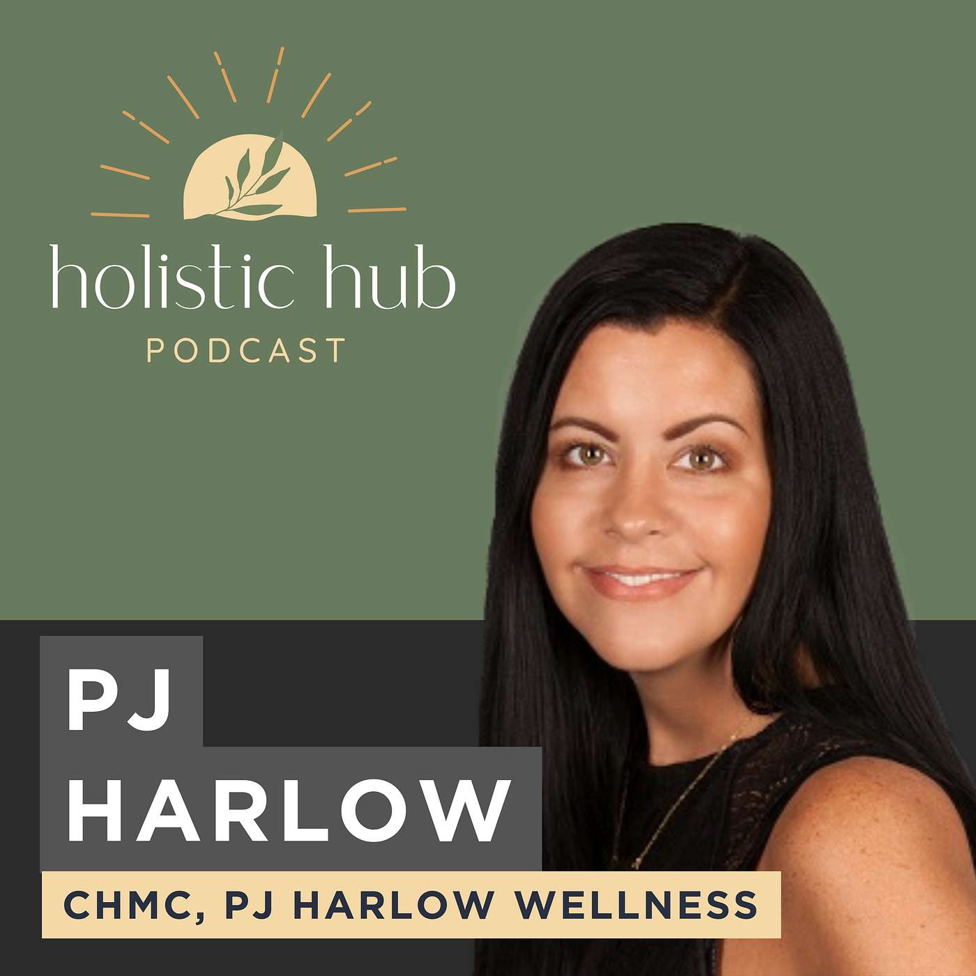 Episode 4 - Holistic Mold & Water Damage Remediation with PJ Harlow episode artwork