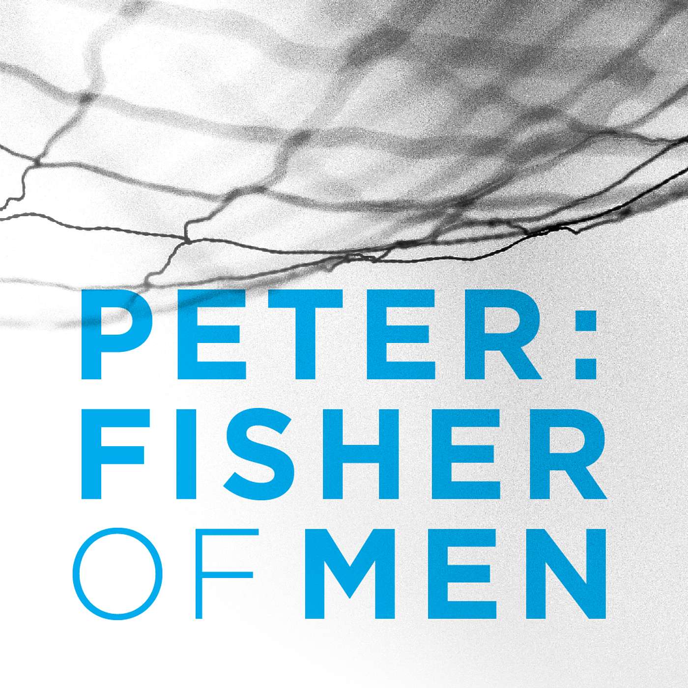 Peter's Restoration