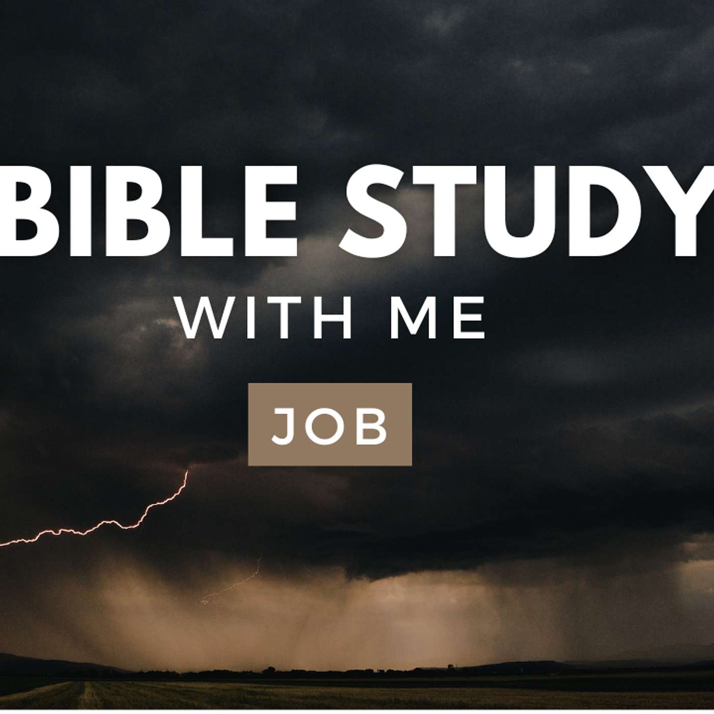 Job 16 & 17 | Job Condemns His Friends For Their Harsh Words [Bible Study WITH Me]
