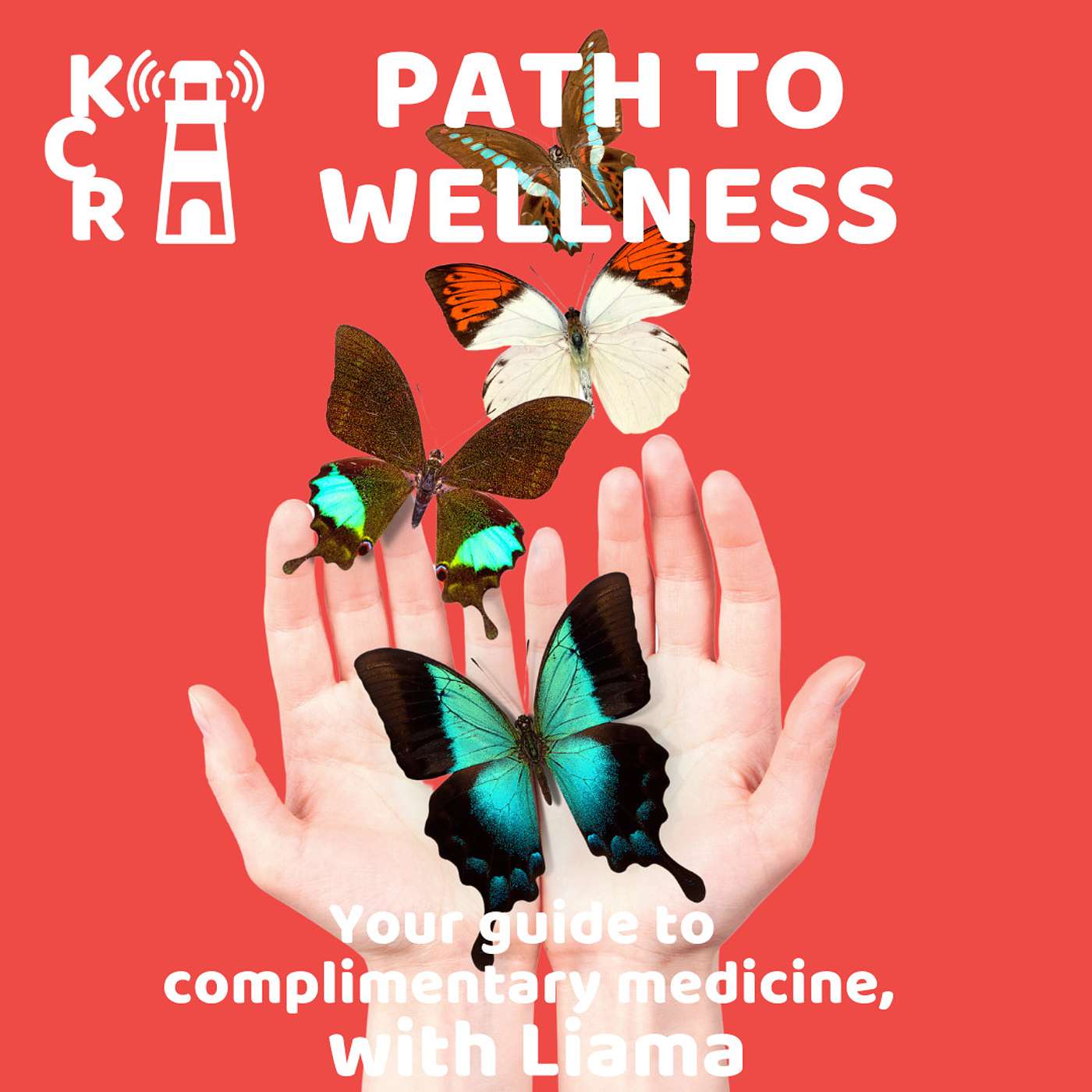 Path to Wellness - Shannon Motbey episode artwork
