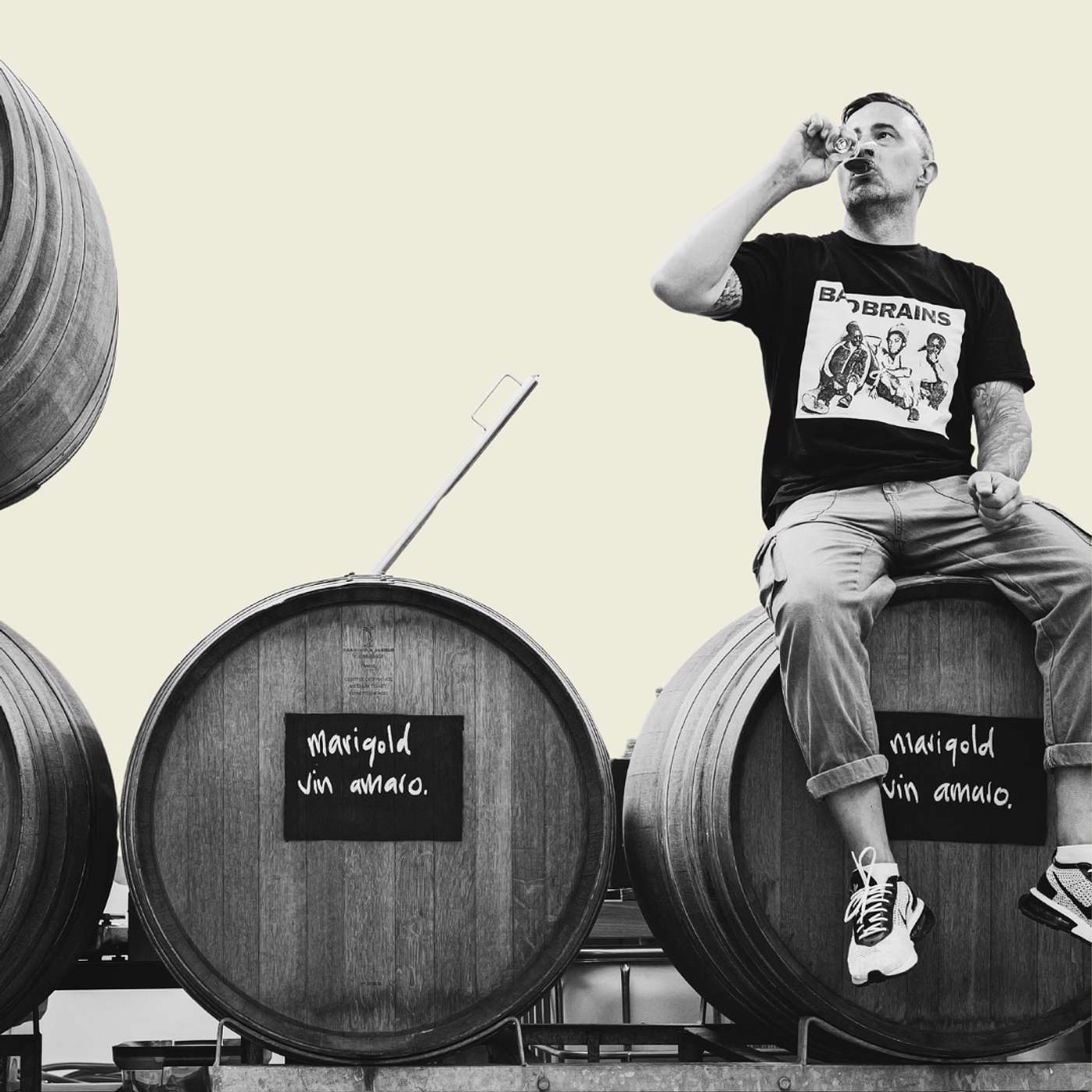 the not serious Dave Verheul the not serious Dave Verheul