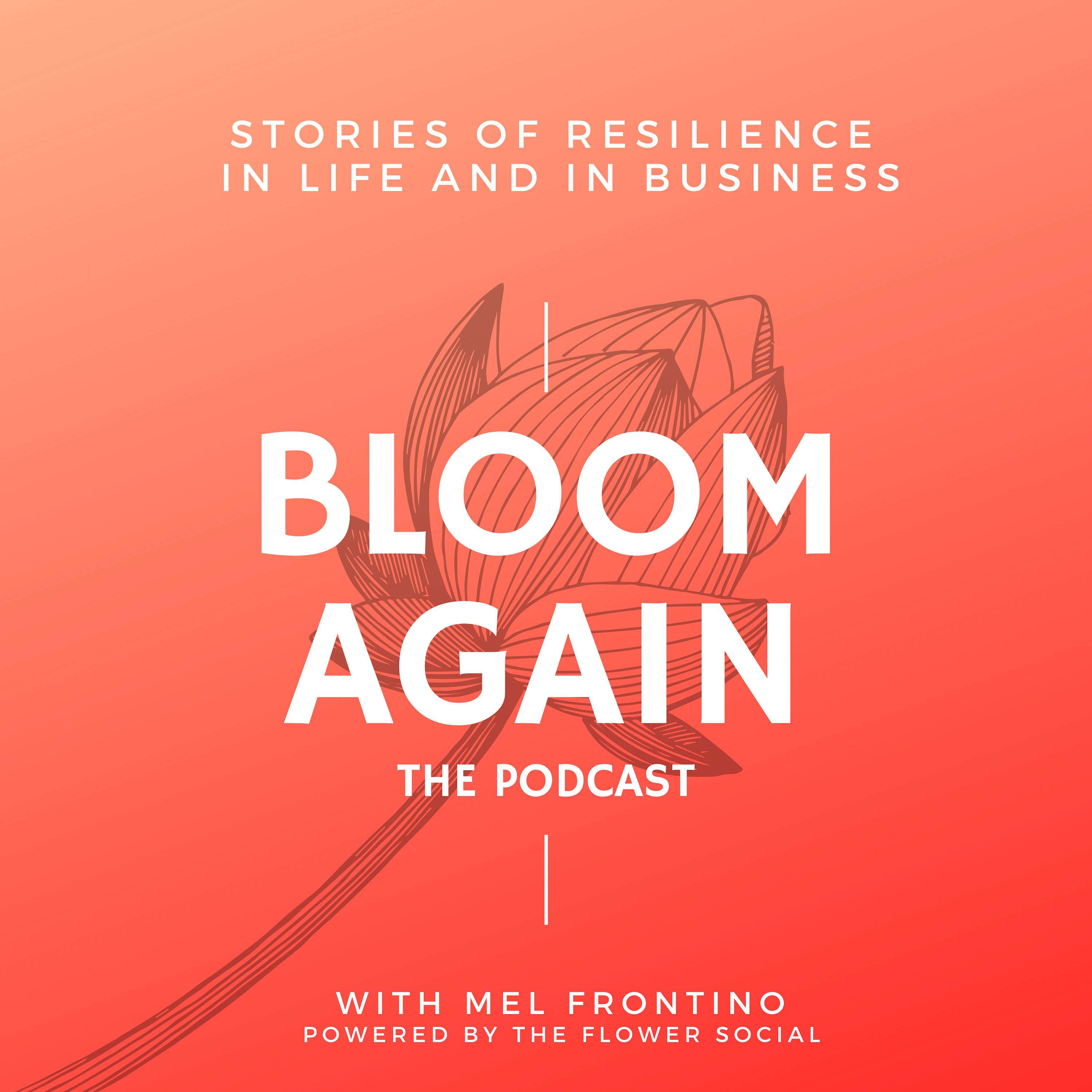 Bloom Again cover