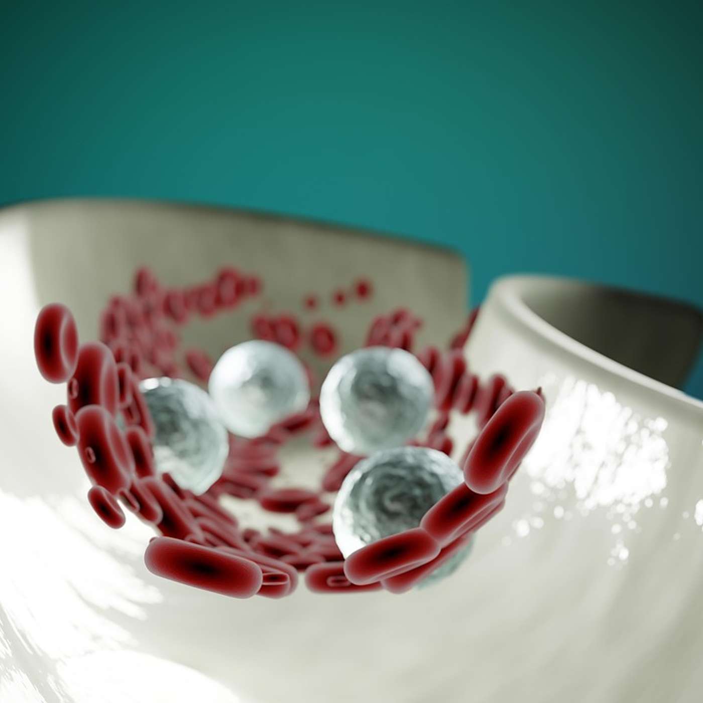 Your Neutrophils Make Their Own Band Aid