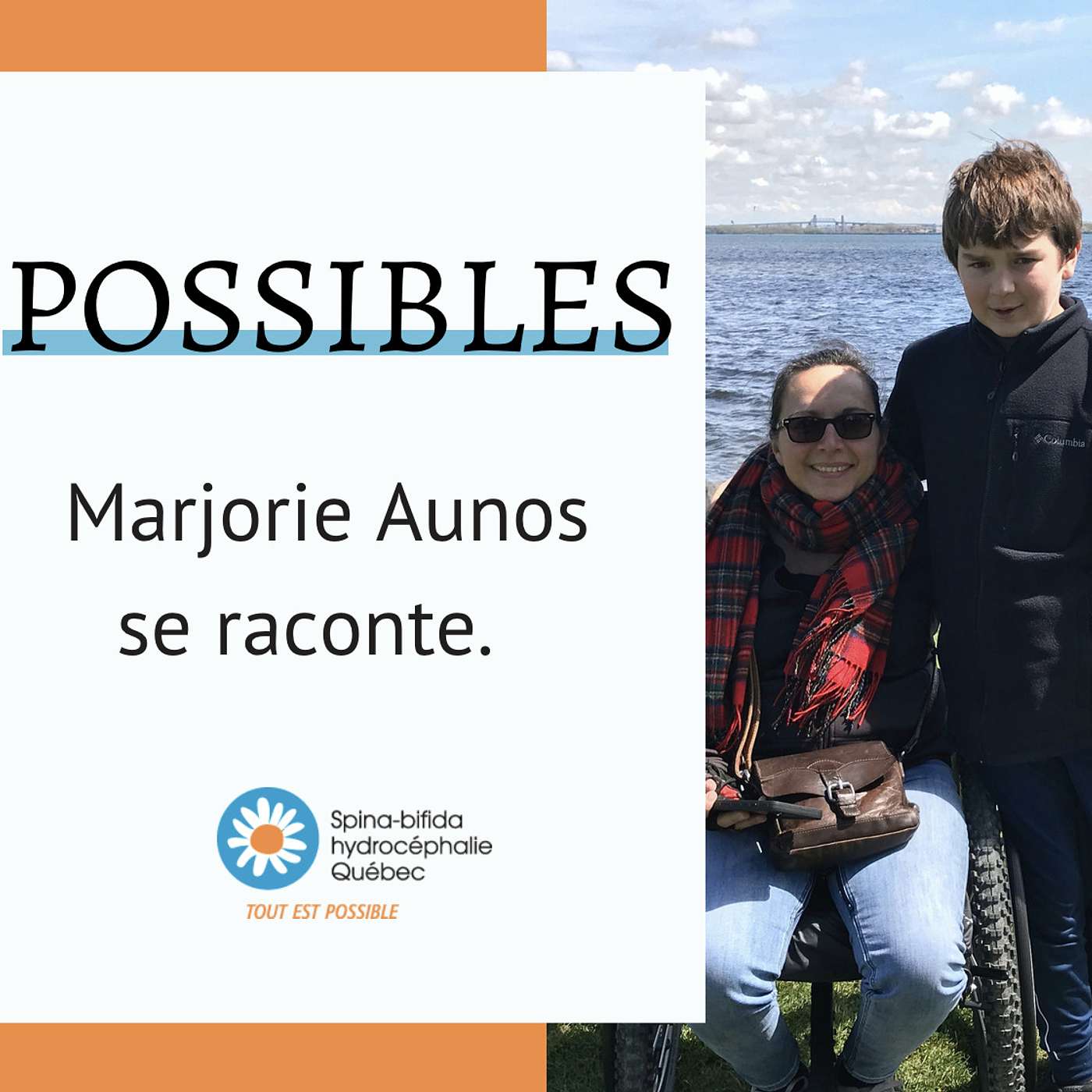 POSSIBLES