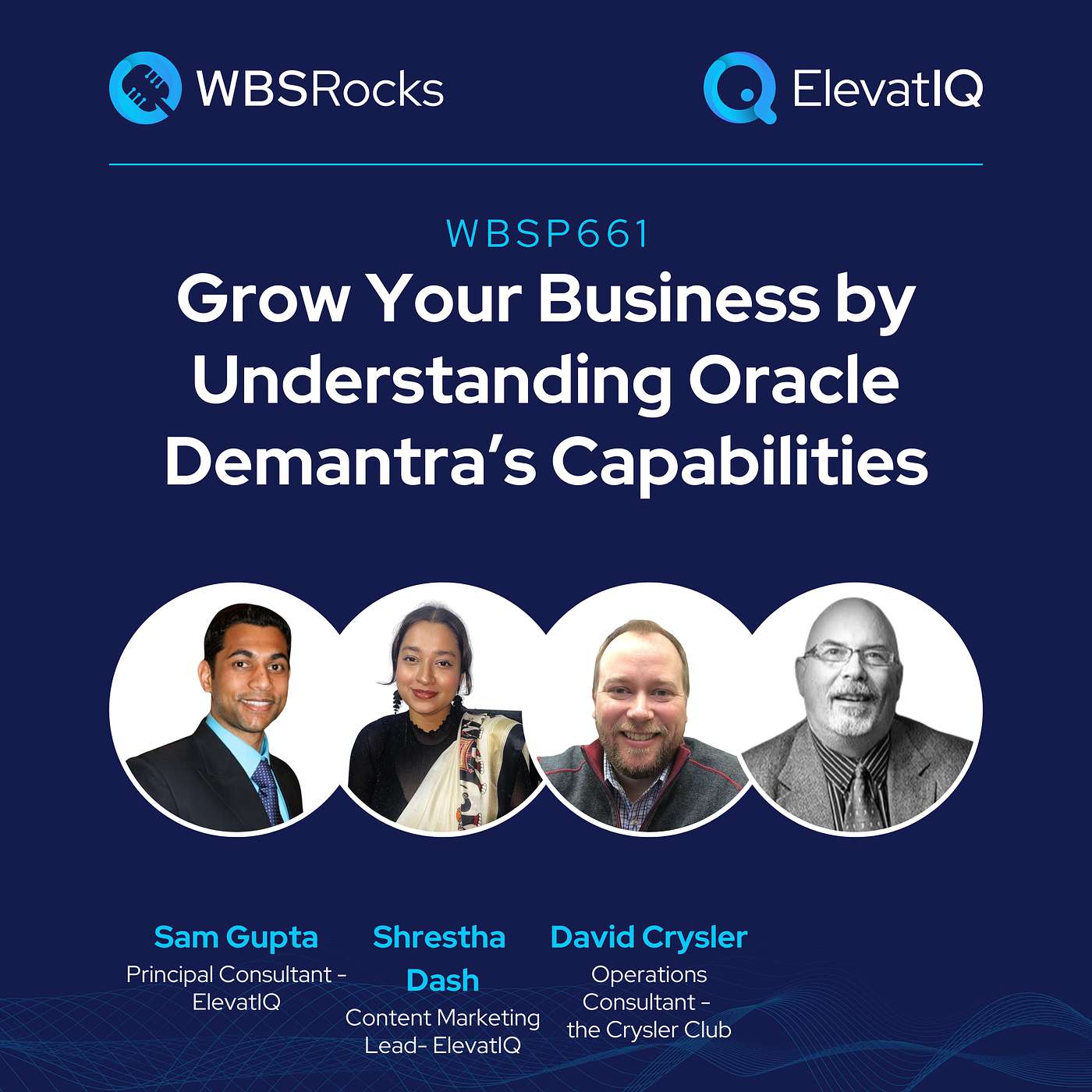 WBSP661: Grow Your Business by Understanding Oracle Demantra’s Capabilities, an Objective Panel Discussion