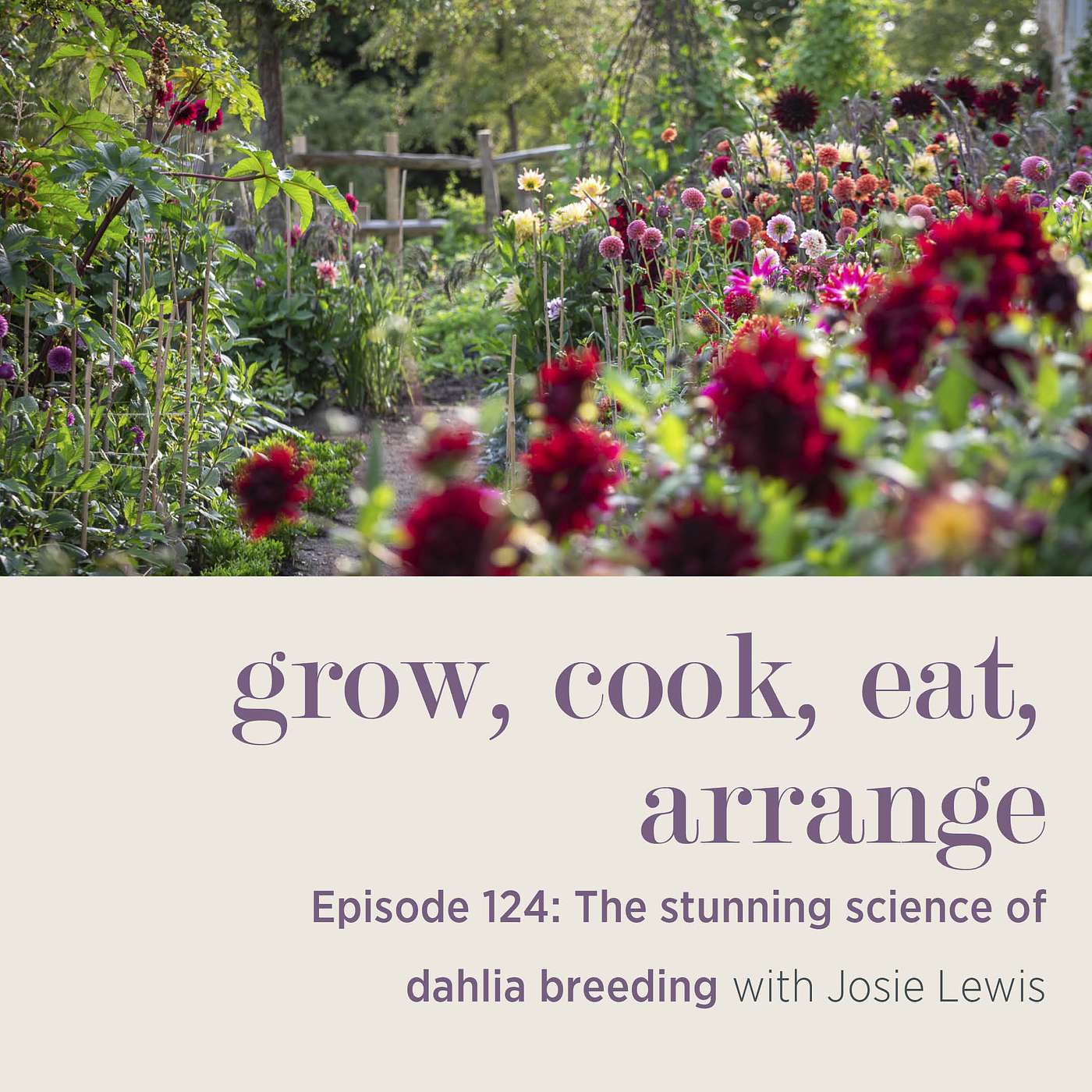 cover of episode The Stunning Science of Dahlia Breeding with Josie Lewis - Episode 124