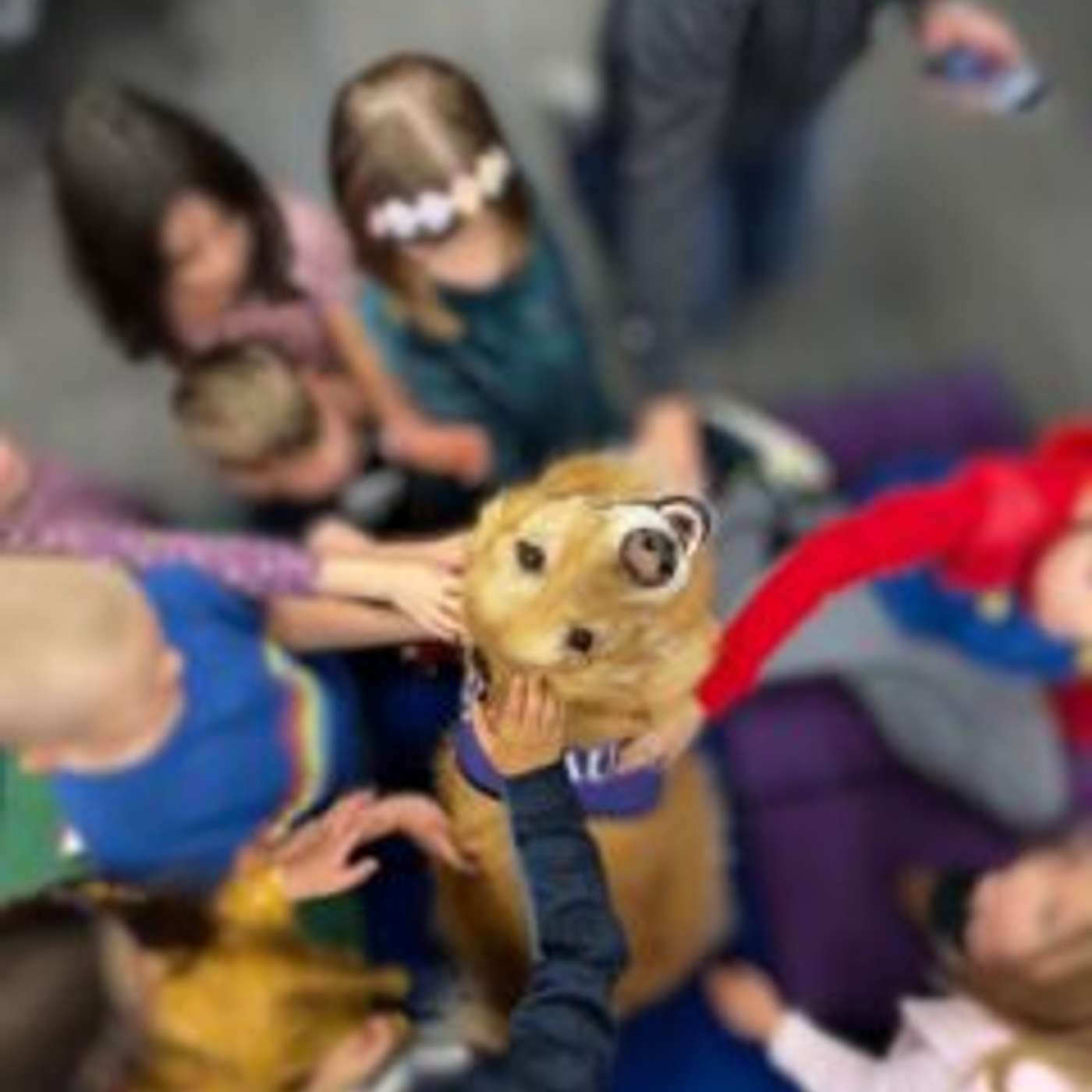 Paws for Youth Supports Arizona Children Through Pet Therapy