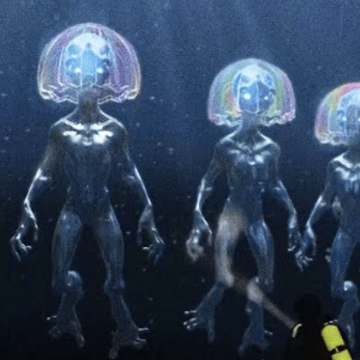 The Lake Baikal Swimmers
