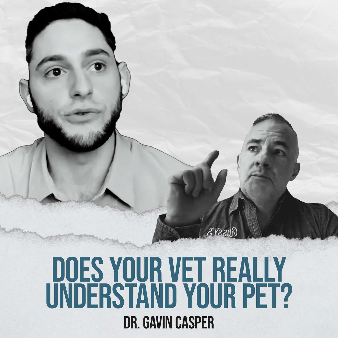 Why Your Pet Needs Alternative Therapies - with Dr. Gavin Casper