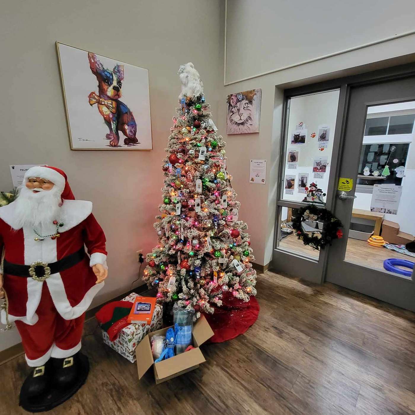 Help the furbabes at the SPCA serving Allegany County have the best Christmas EVER!