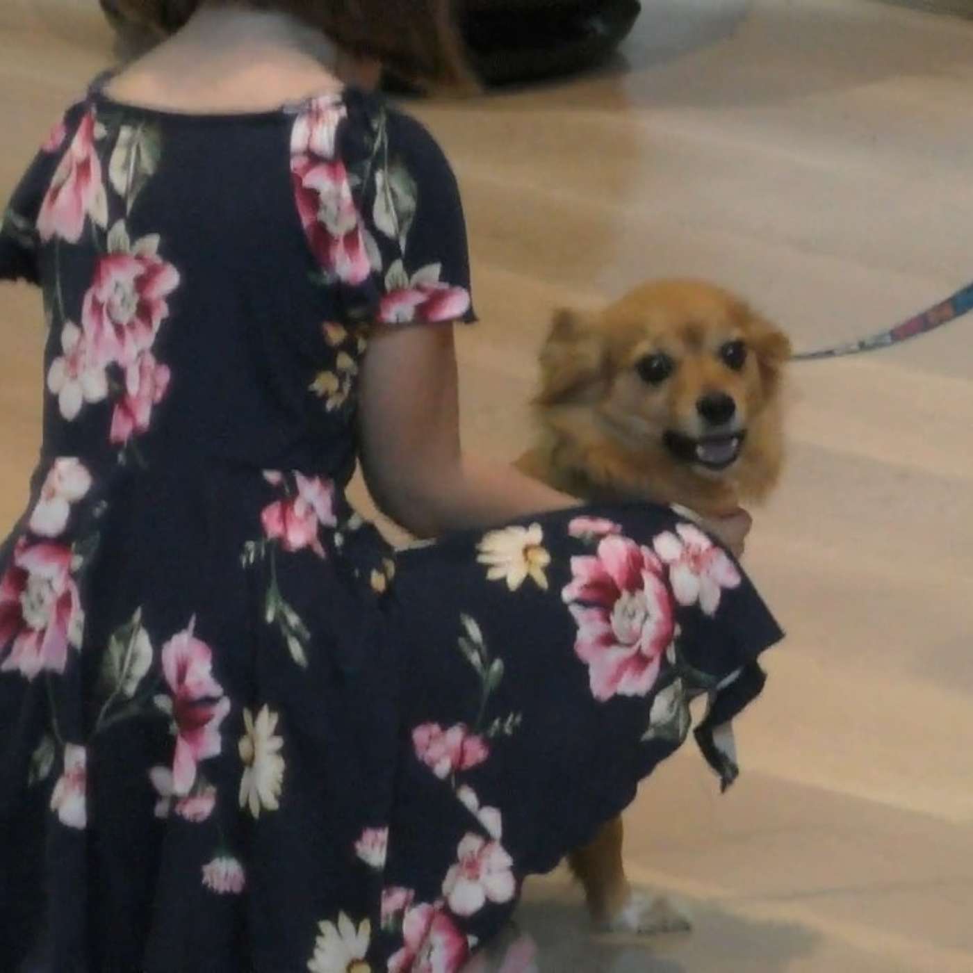 Seattle Unity Sunday Podcast - October 8th, 2023 - Pet Blessing