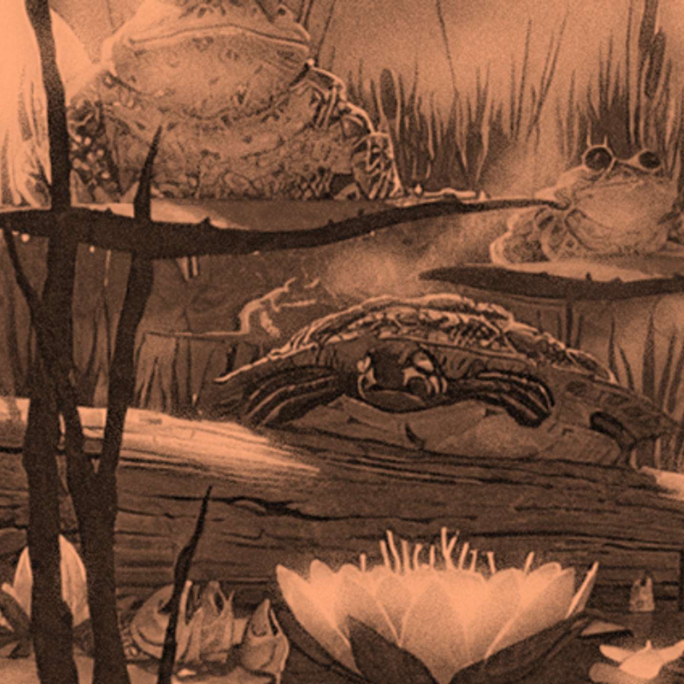 Weird Stories; If Fog Could Sing