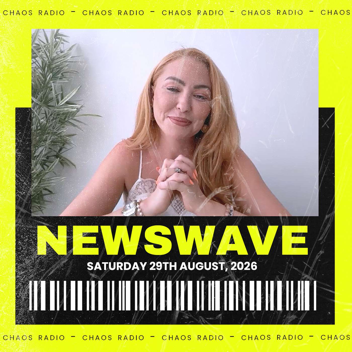 NEWSWAVE - Popstars, Puppies and Pitches episode artwork