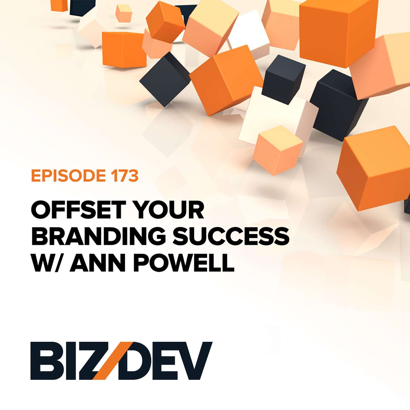 Your Branding Success w/ Ann Powell | Ep. 173