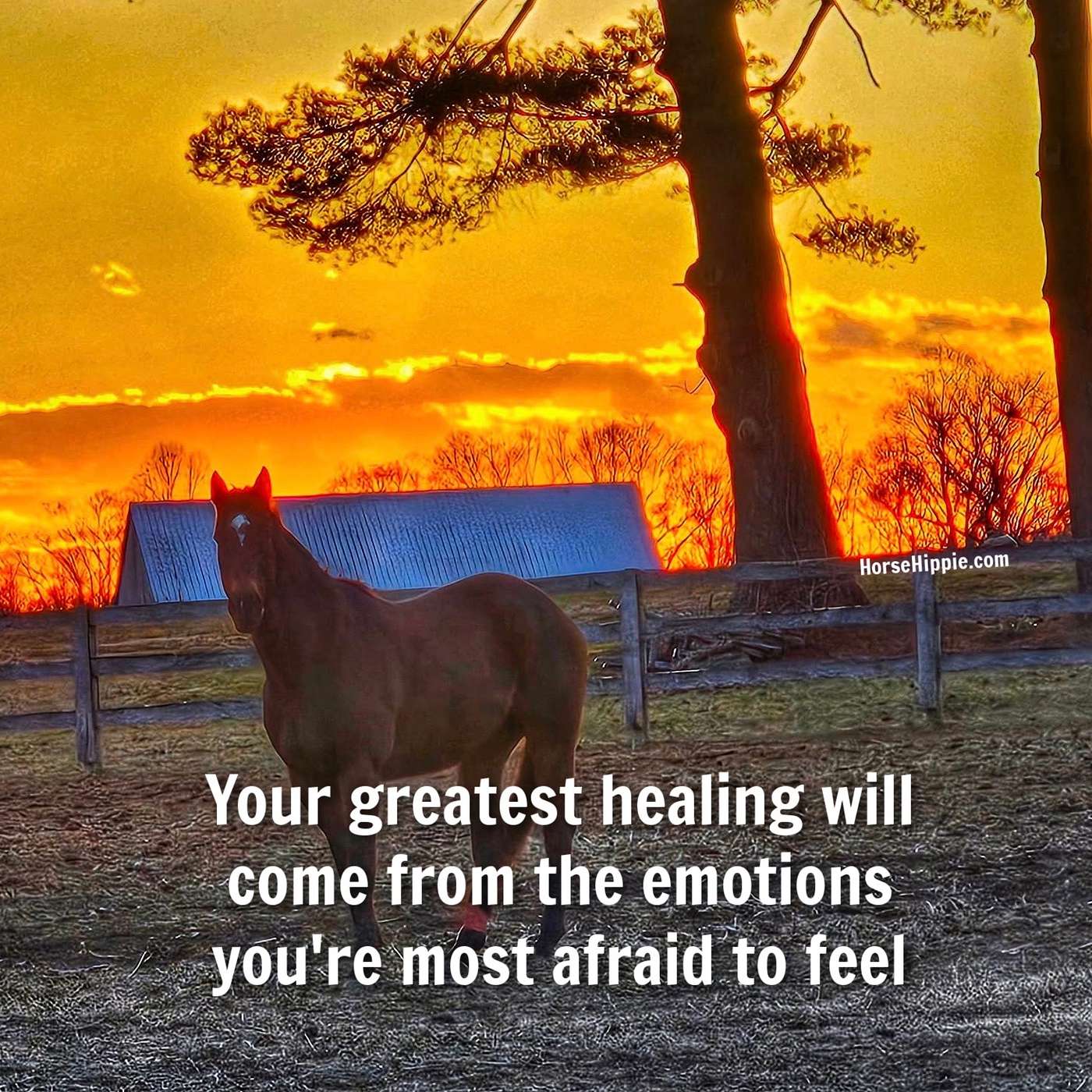 Free Suppressed Feelings