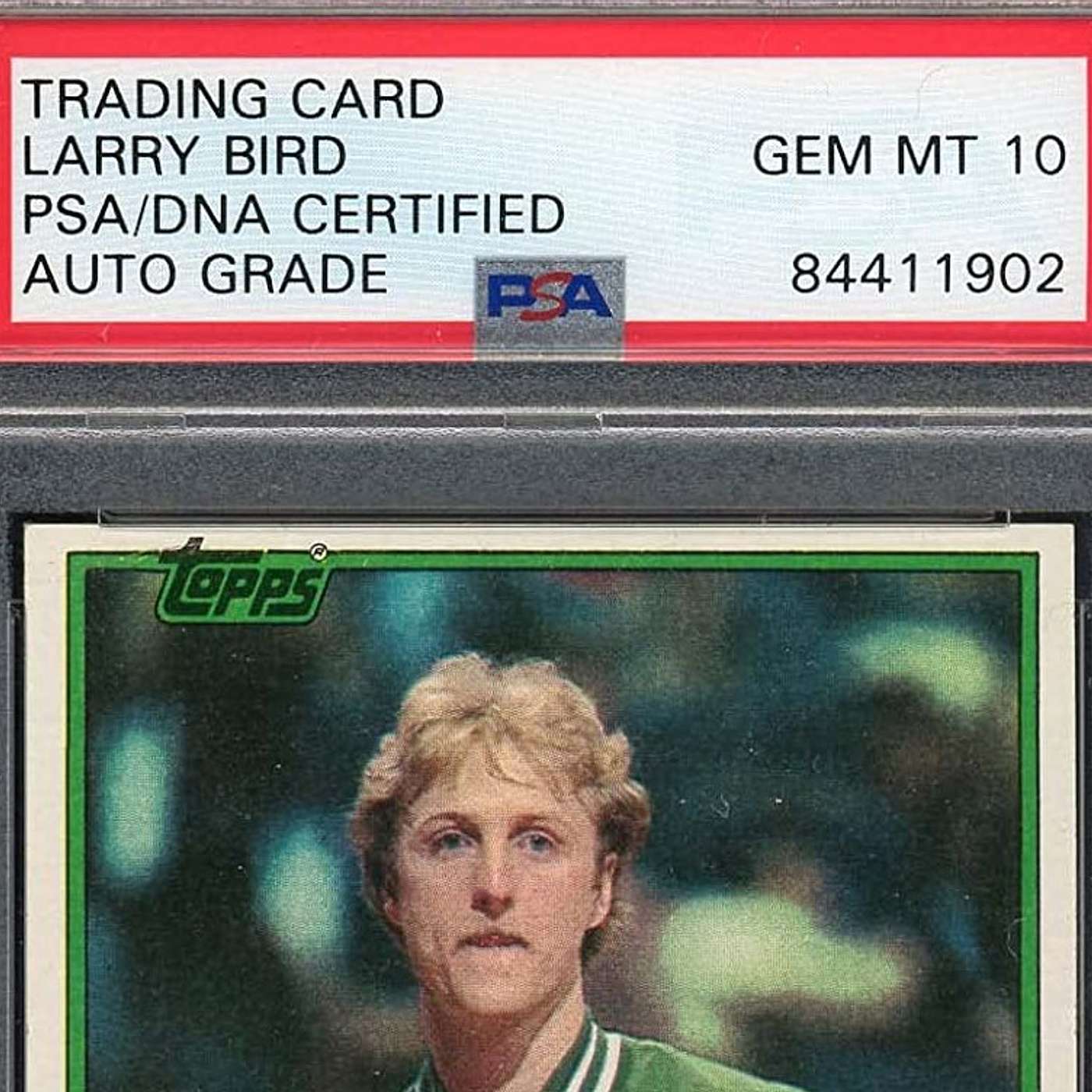 What's the Deal with these TRADING CARD PSA Slabs?  Are they legit?  Watch Before Your Next PSA Sub