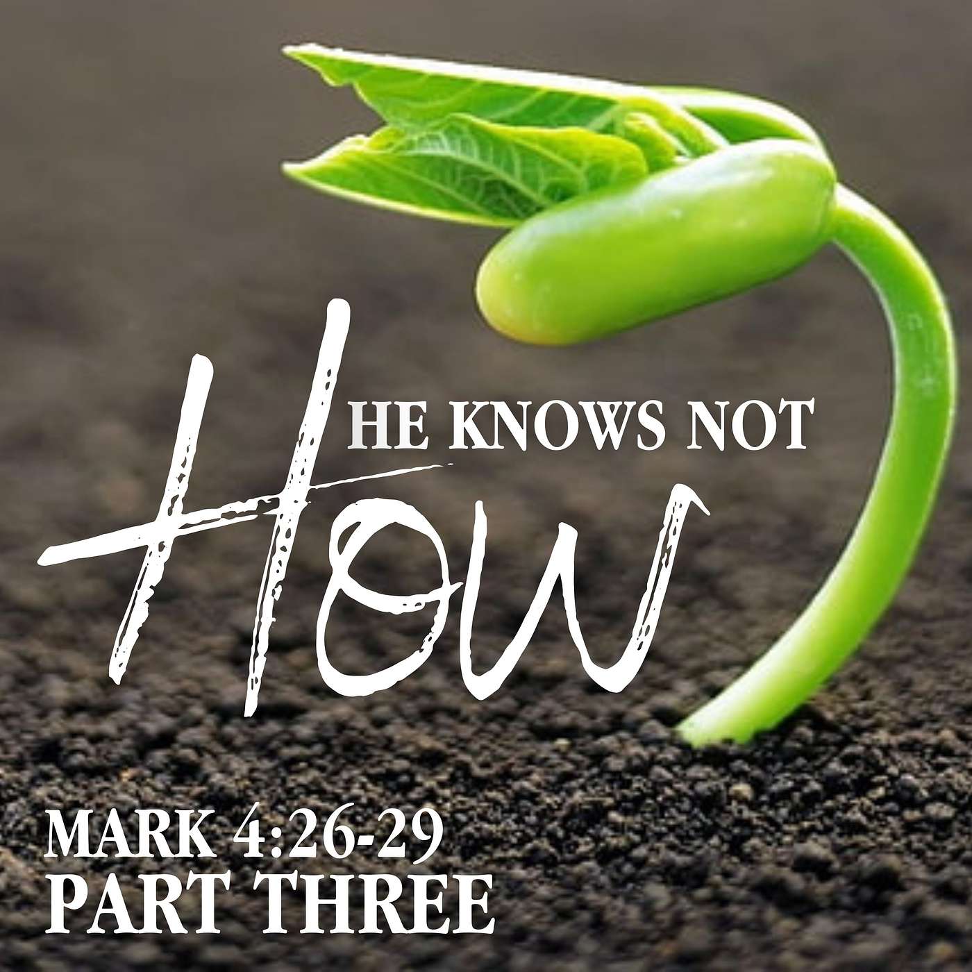 He Knows Not How, Part 3; Mark 4:26-29