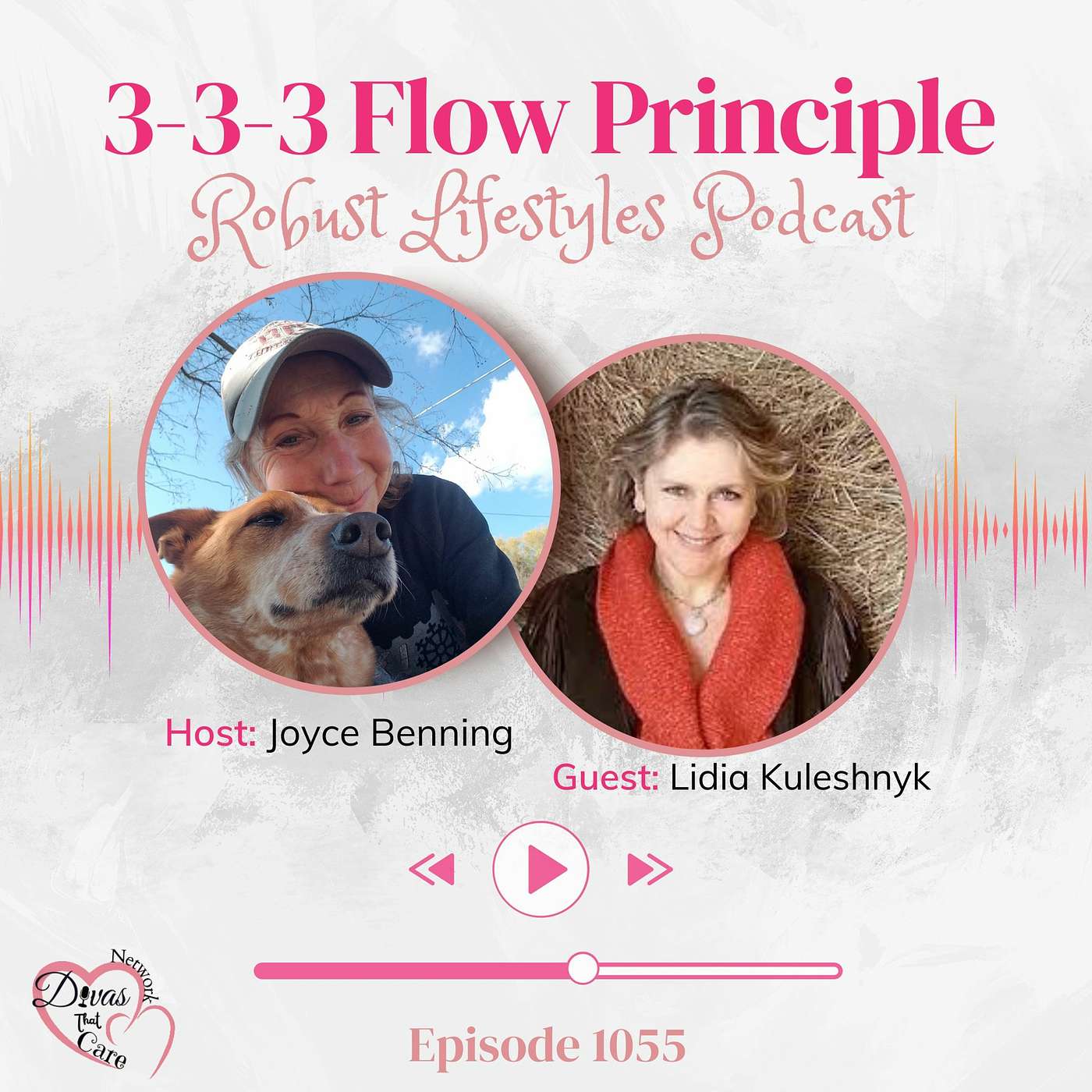 3 - 3-3 Flow Principle episode artwork