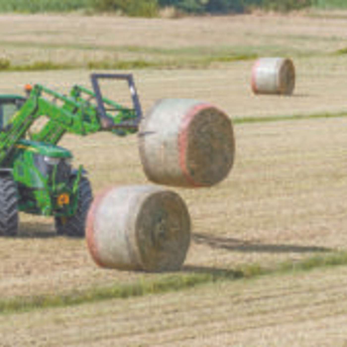 Buying ranch equipment: Is it needed or just nice to have?