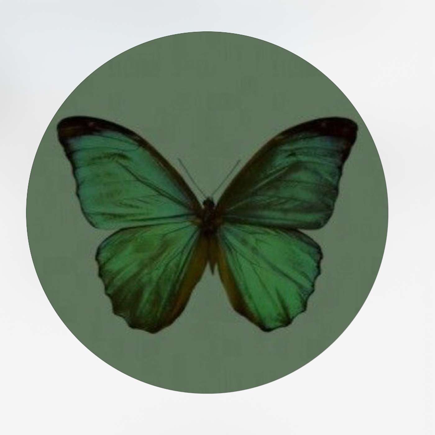 The Green Butterfly Effect 