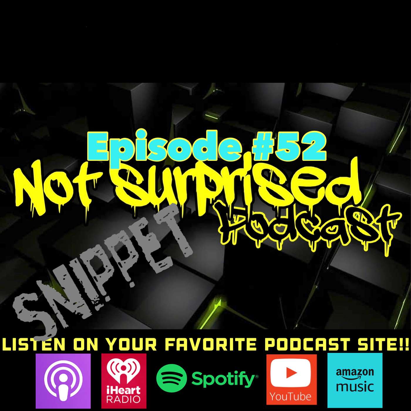 Not Surprised Podcast