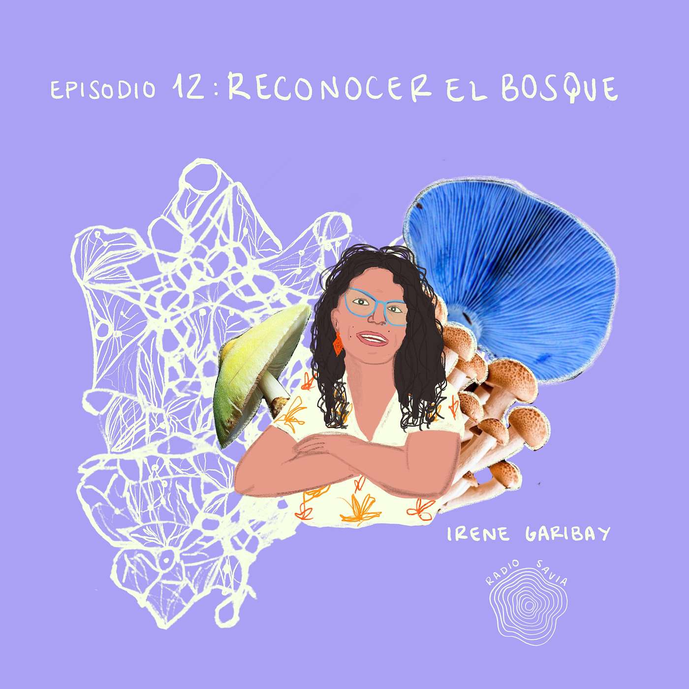 Episodio 12: Reconocer el bosque Episodio 12: Reconocer el bosque