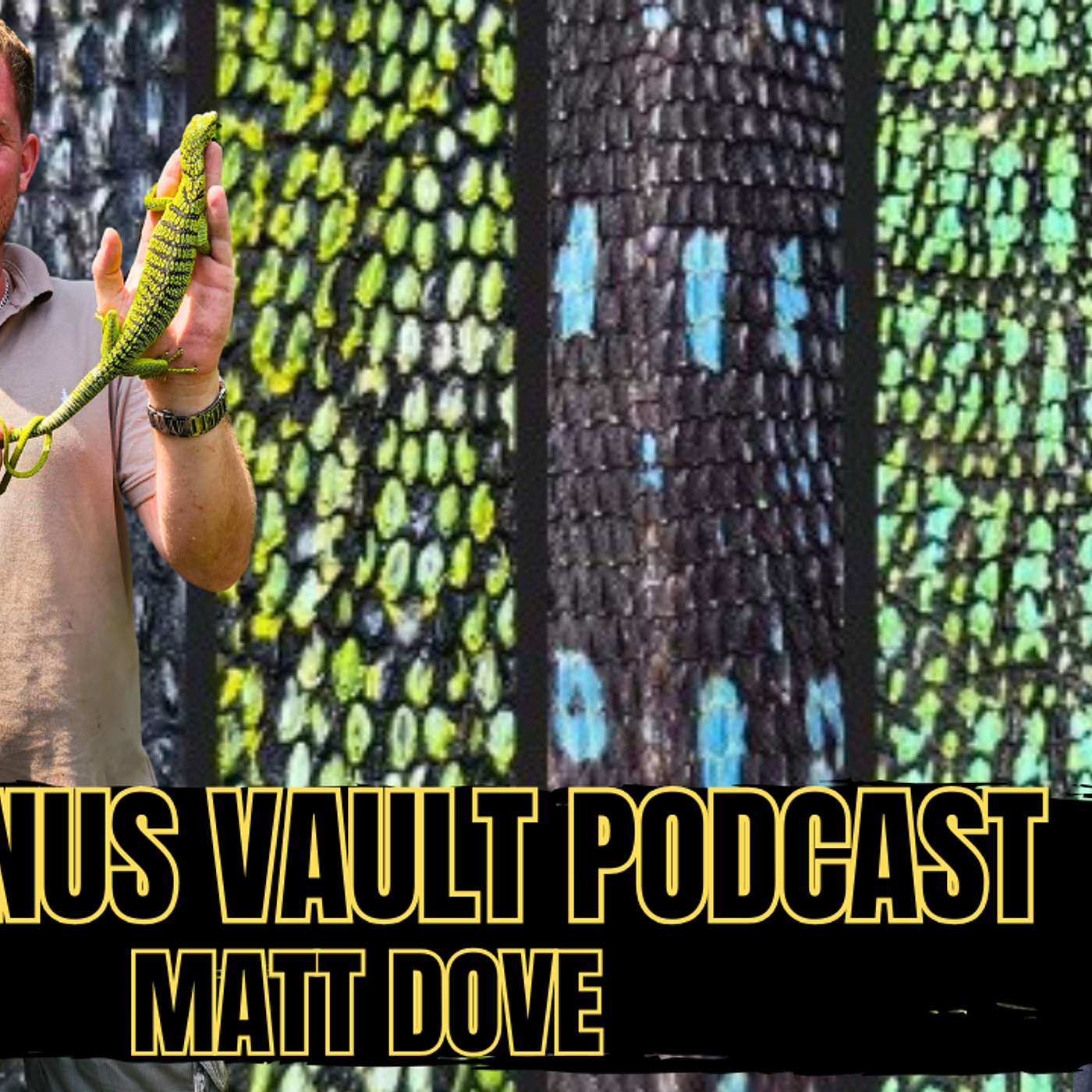 Successfully Breeding Mangrove Monitors In The USA | Varanus Vault Podcast Live