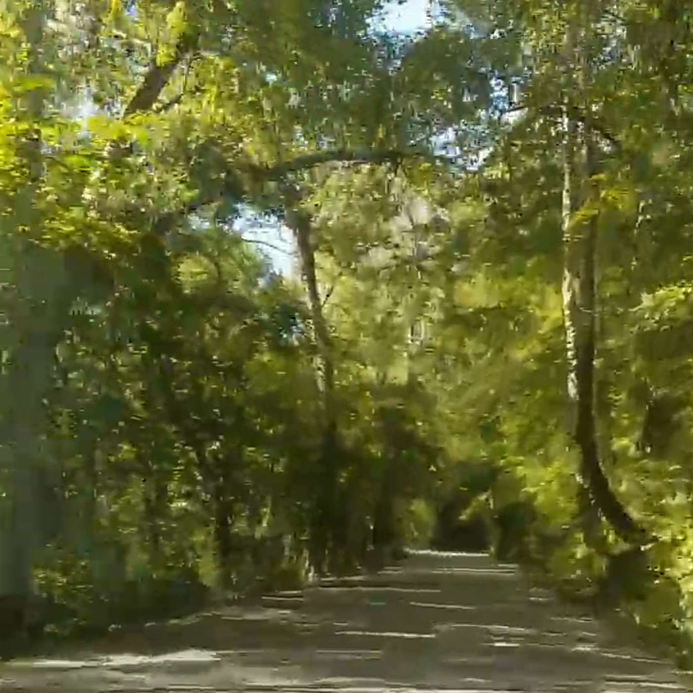 The Highway of Life and forms of Oppression