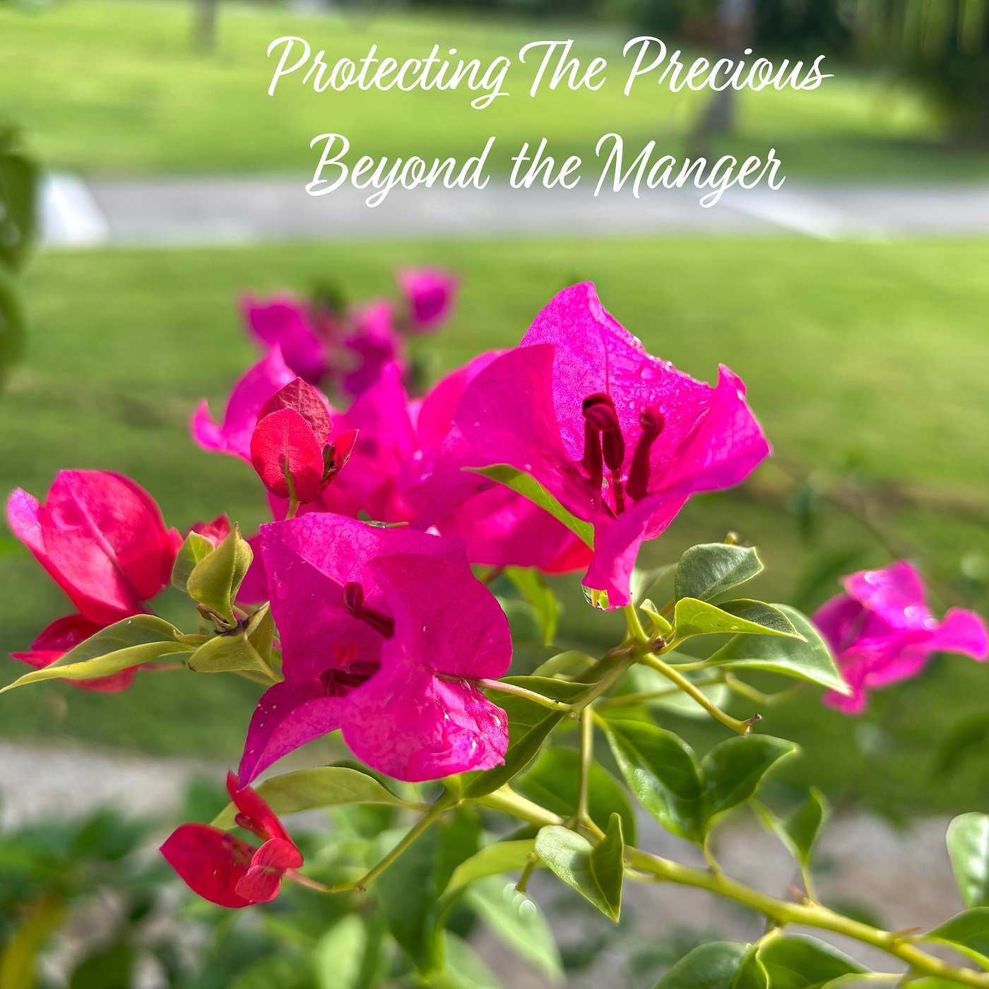 Protecting the Precious