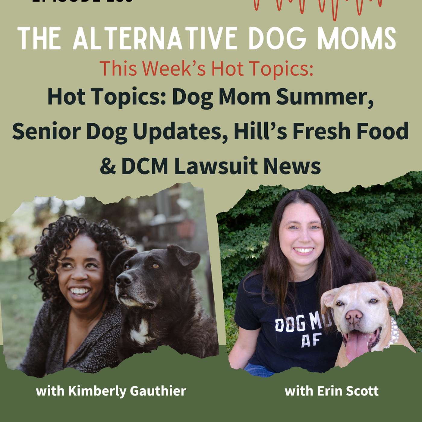Hot Topics: Dog Mom Summer, Senior Dog Updates, Hill’s Fresh Food & DCM Lawsuit News episode artwork