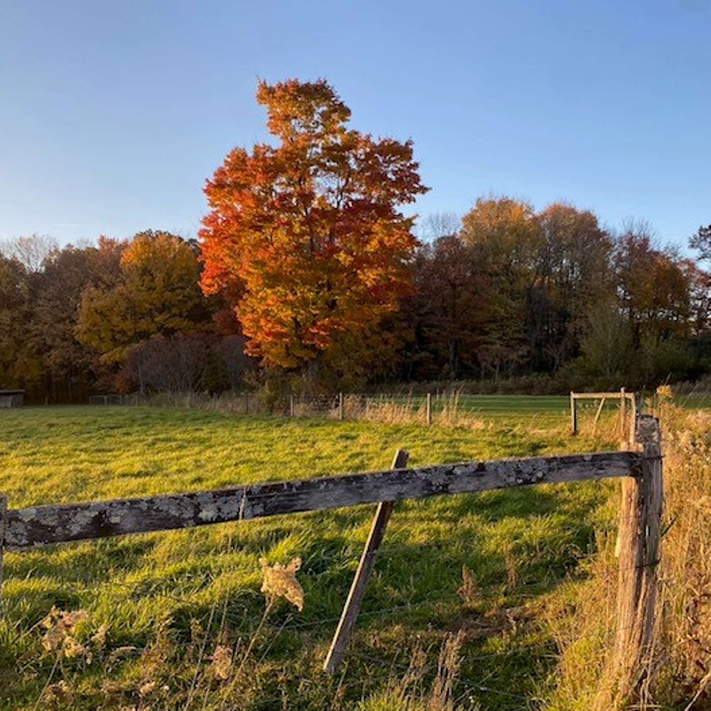 Farm Succession Planning with Jennifer Wetzel of Mette, Evans, and Woodside Attorneys At Law episode artwork