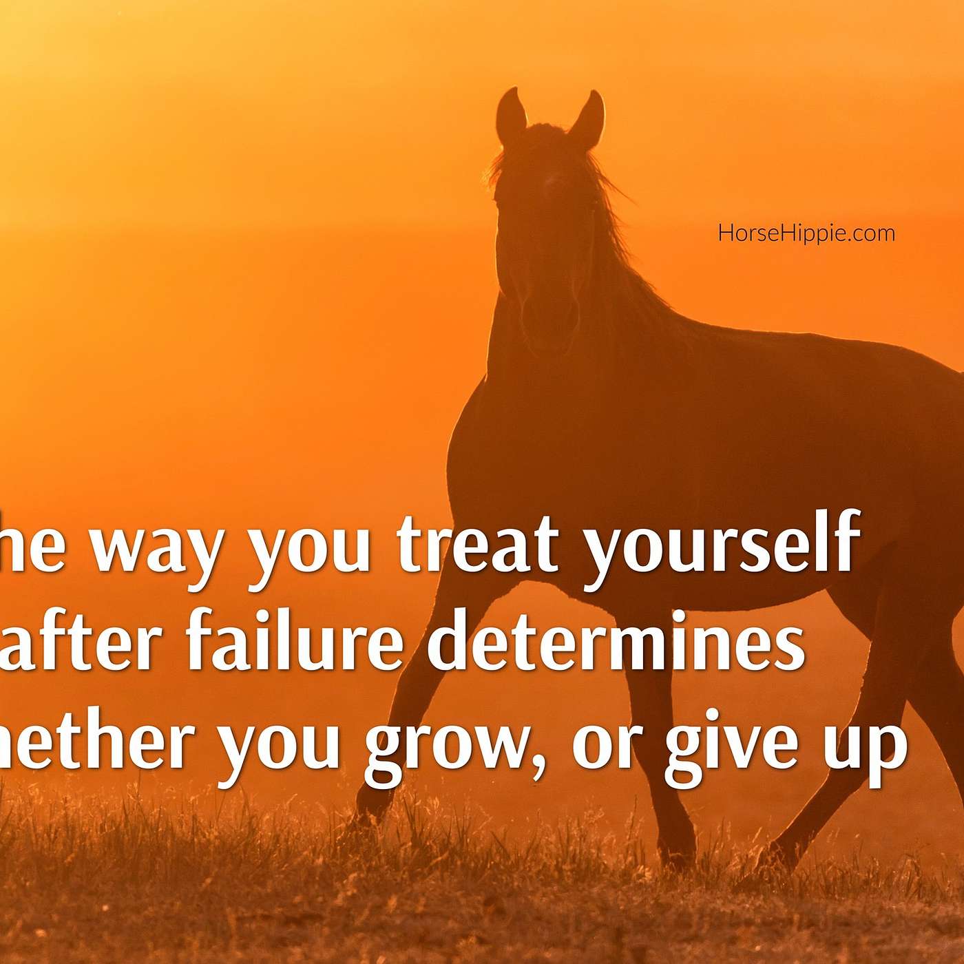 How to Deal With Failure