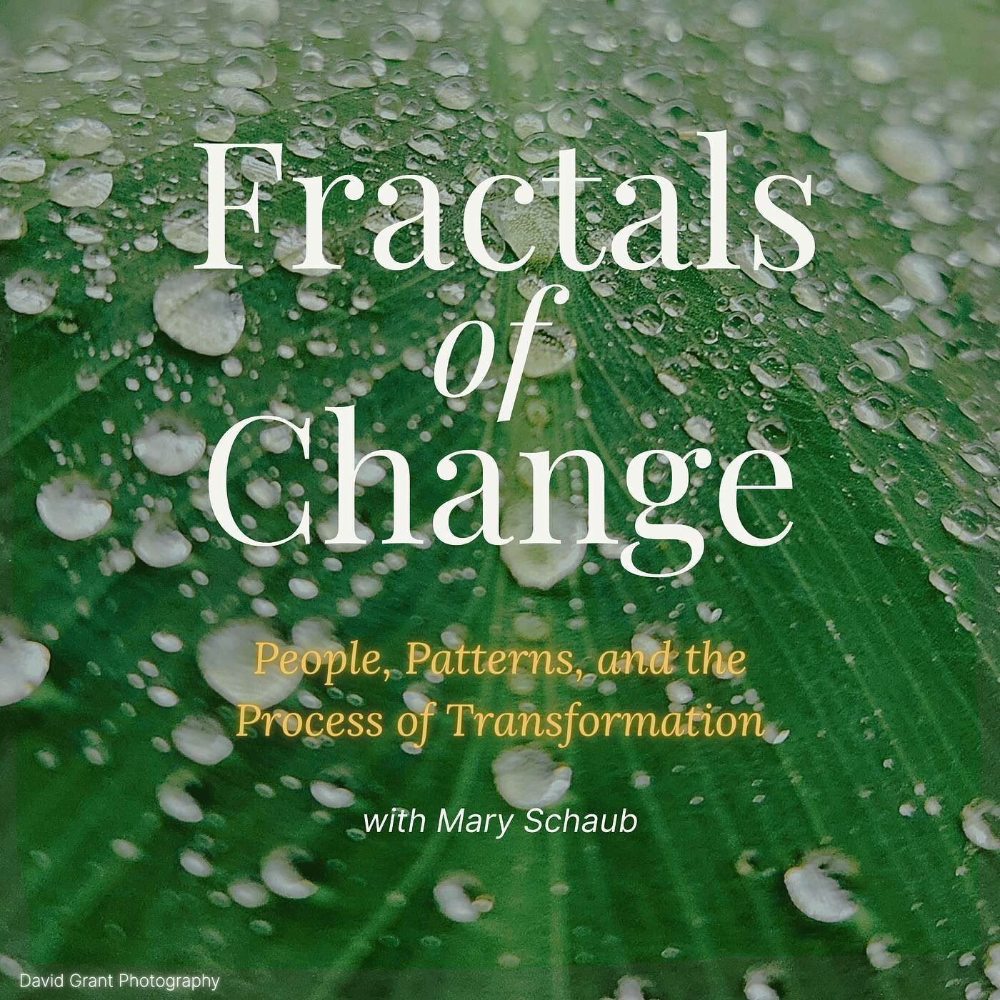 Fractals of Change