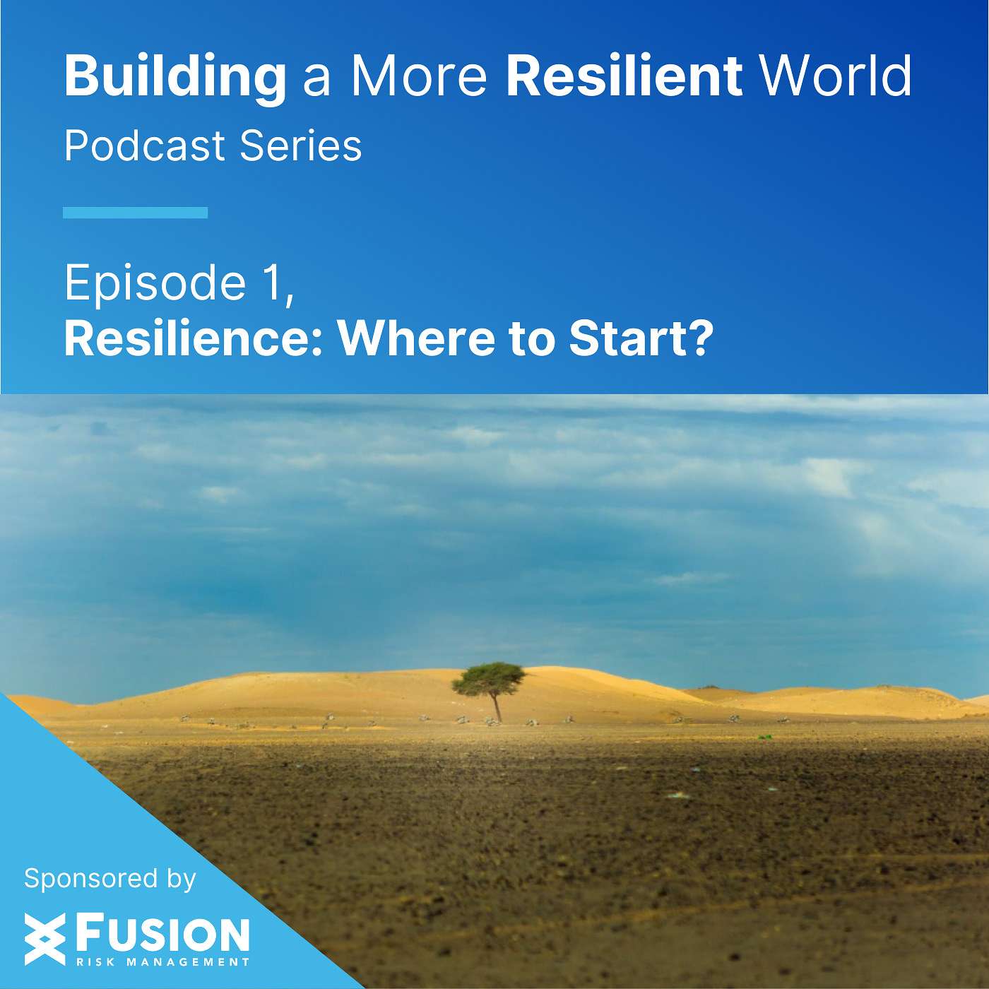 Resilience: Where to Start?