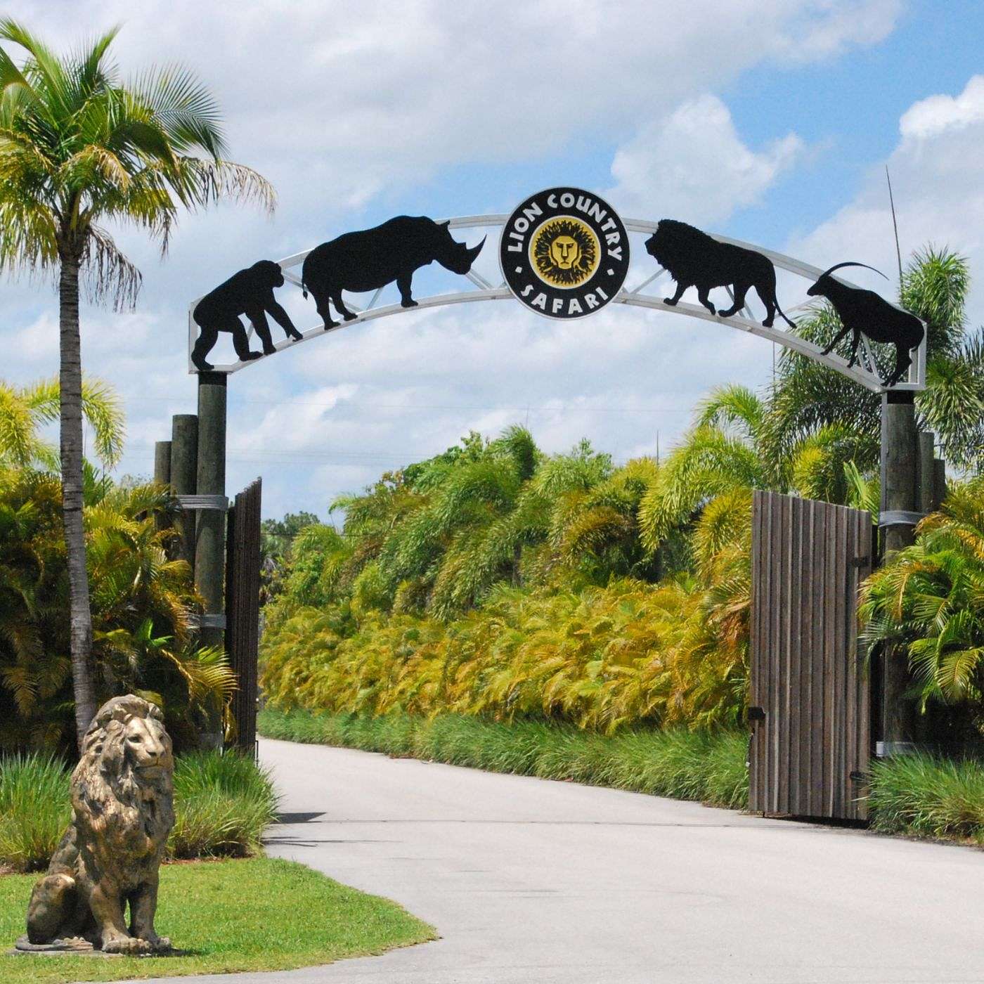 Jambo - Bienvenidos! episode artwork