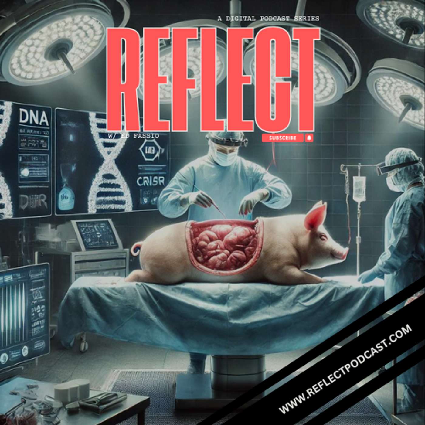 Reflect w/ Ed Fassio