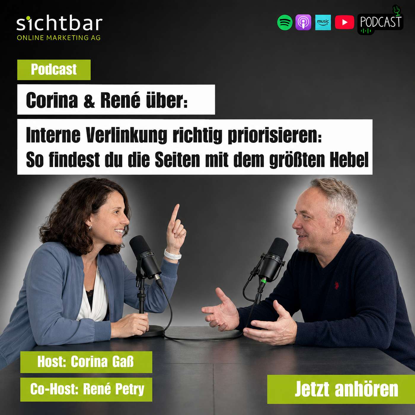 🎙️ Interne Verlinkung richtig priorisieren: So findest du die Seiten mit dem größten Hebel episode artwork