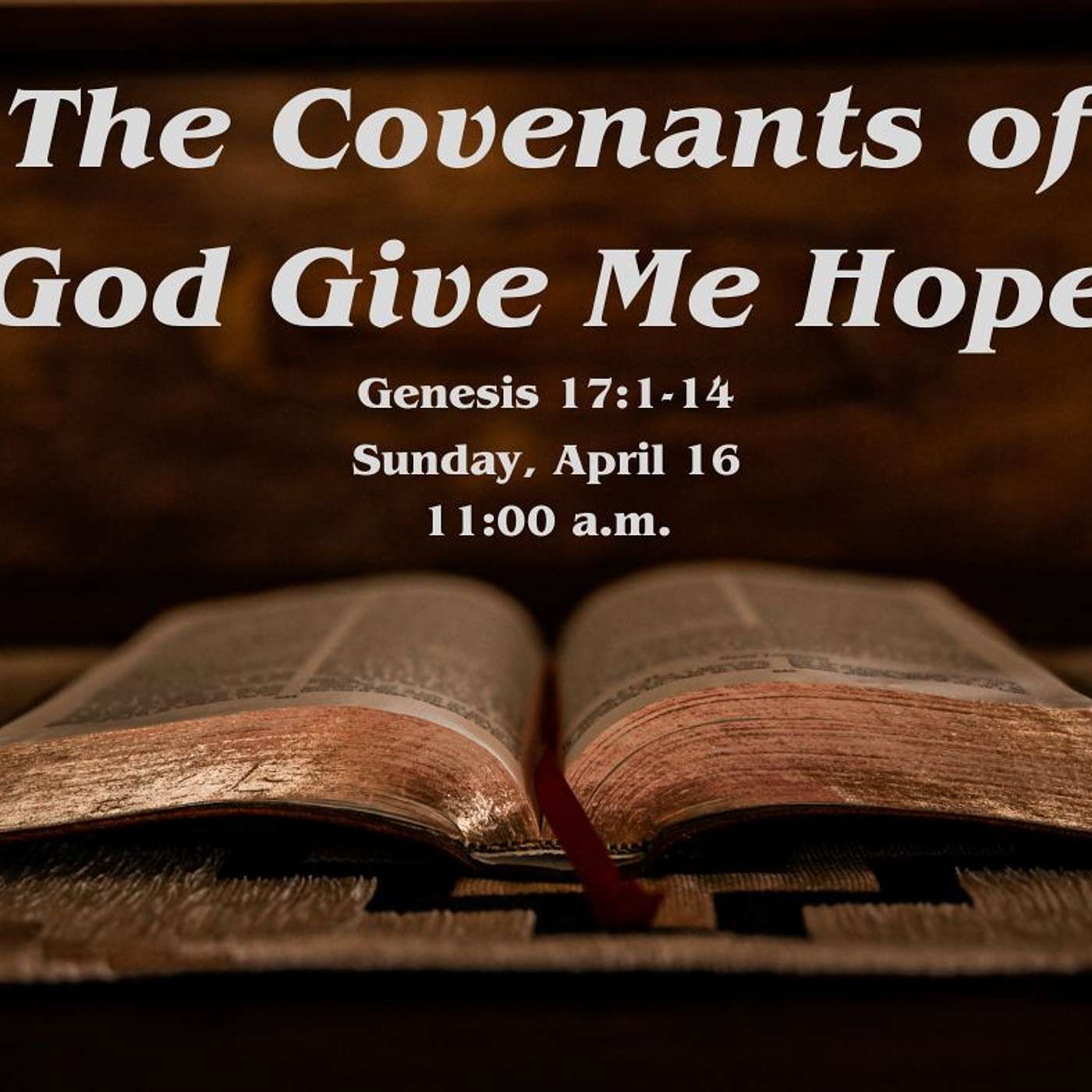 The Covenants Of God Give Me Hope
