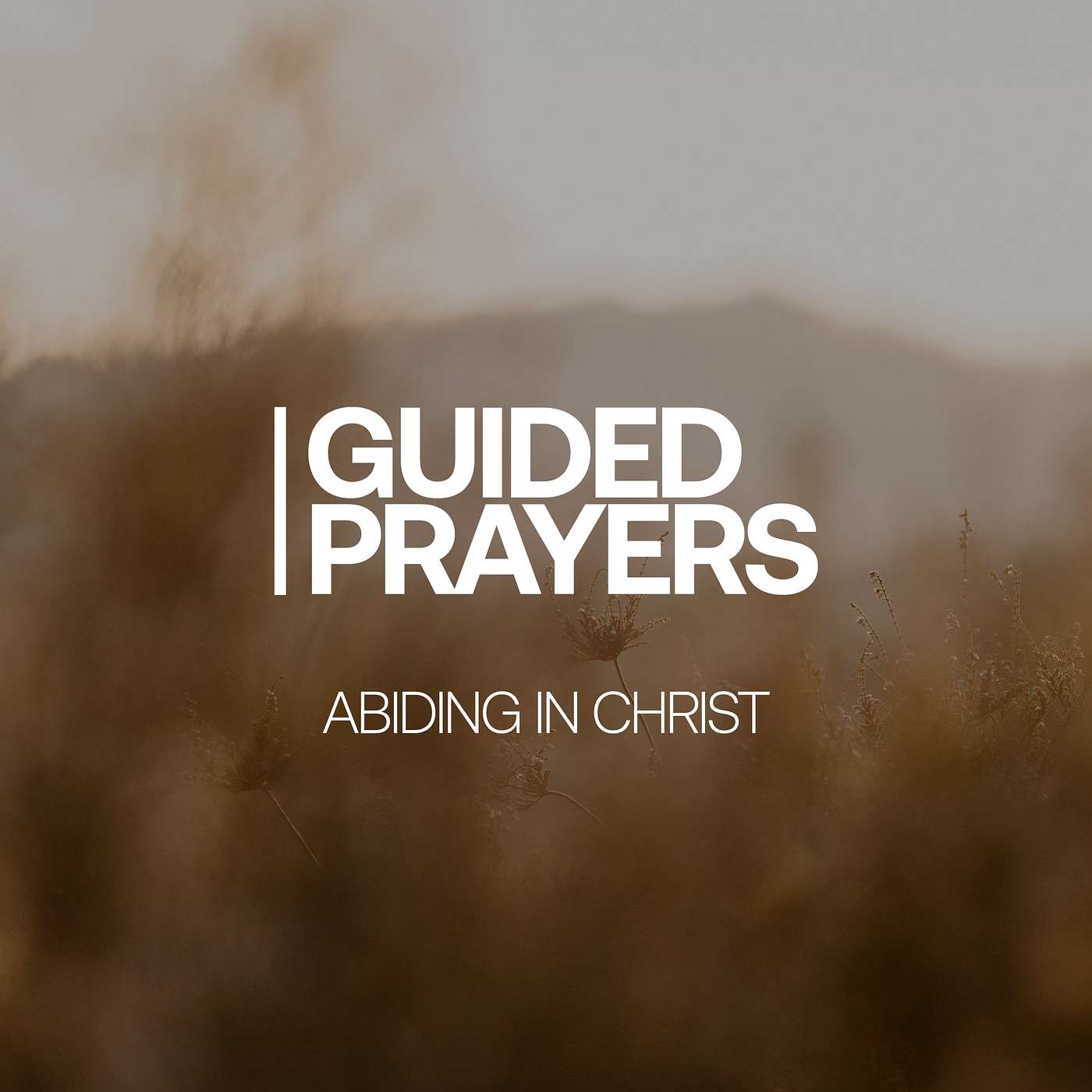 Living A Fruitful Life | Guided Prayers episode artwork