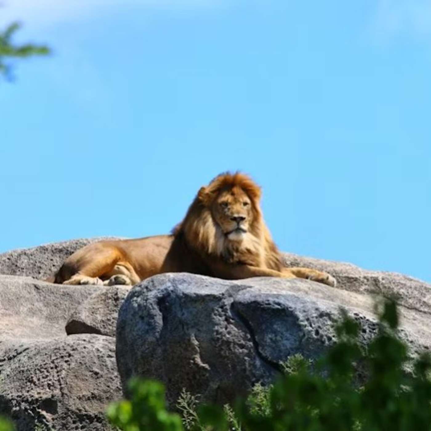 WEBINAR | How to Drive an Effective Process Management Culture in Your Organization. WEBINAR | How to Drive an Effective Process Management Culture in Your Organization.