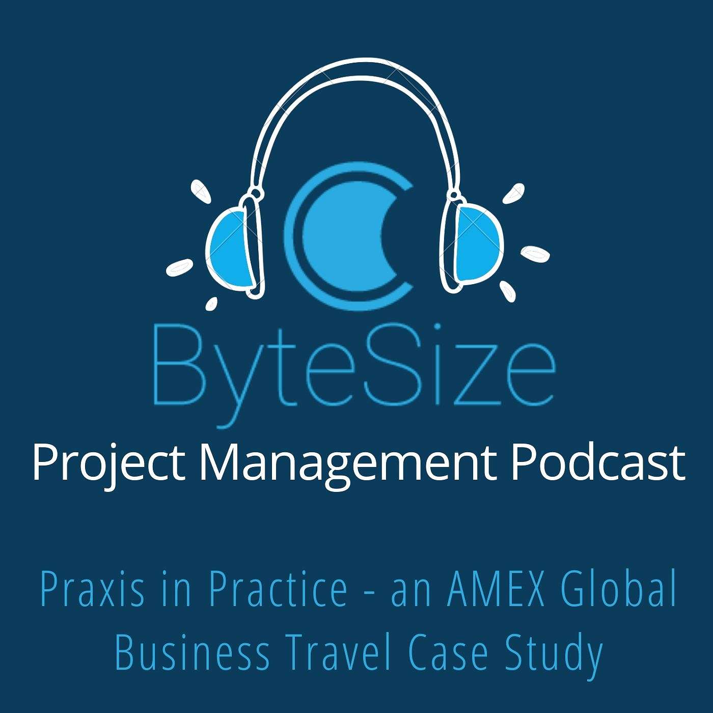 Training ByteSize Project Management - insights, interviews and expertise