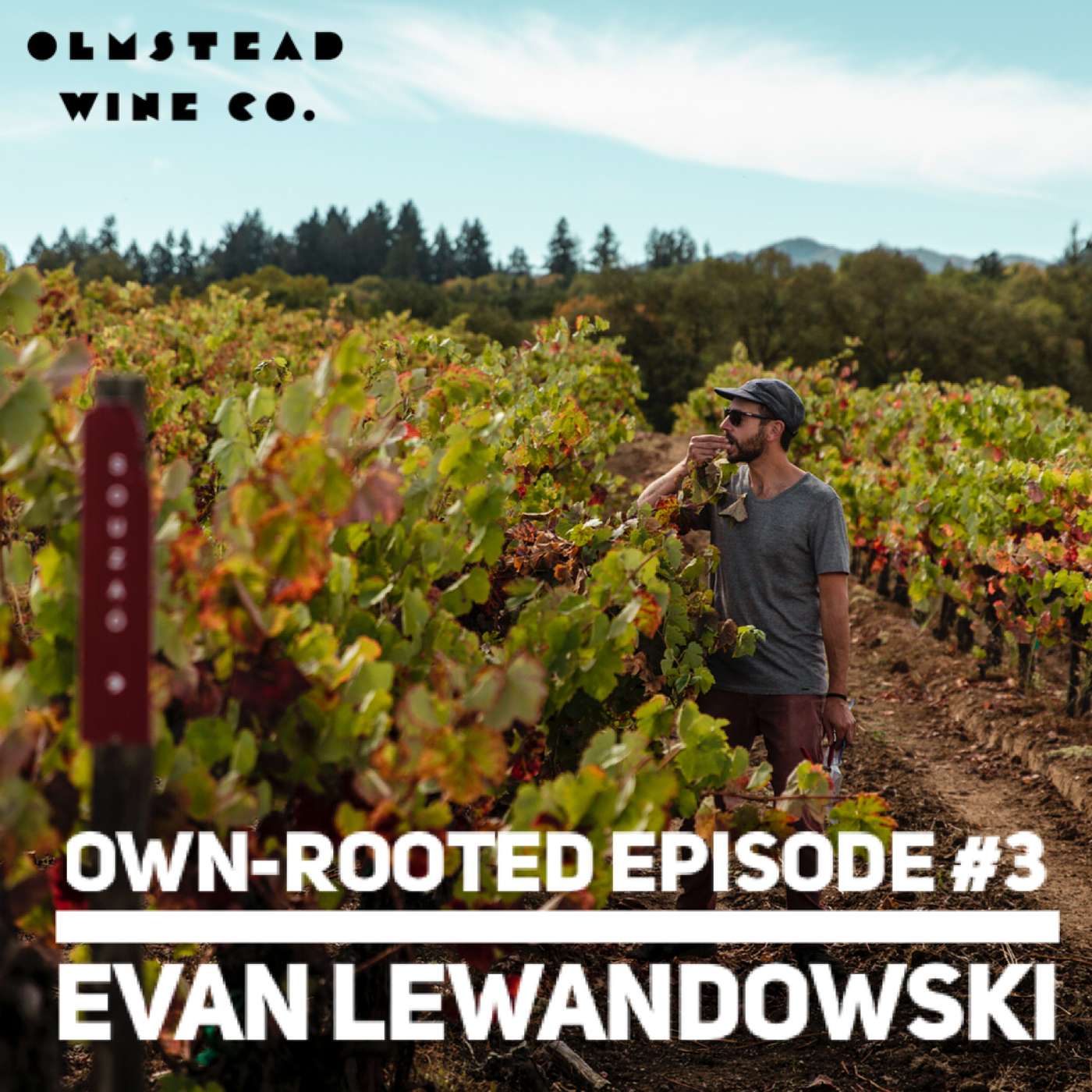 Evan Lewandowski Evan Lewandowski