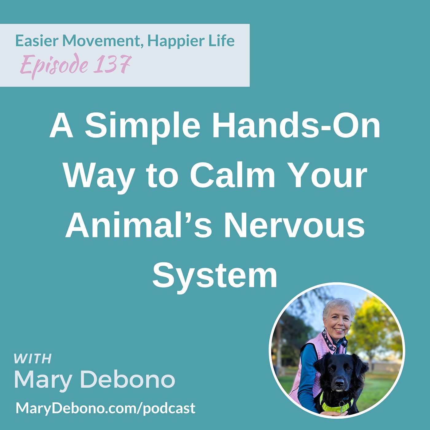 A Simple Hands-On Way to Calm Your Animal’s Nervous System A Simple Hands-On Way to Calm Your Animal’s Nervous System
