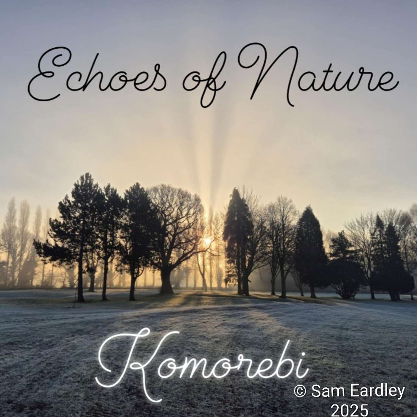 Storytime with Sarah\'s Little Bookshelf