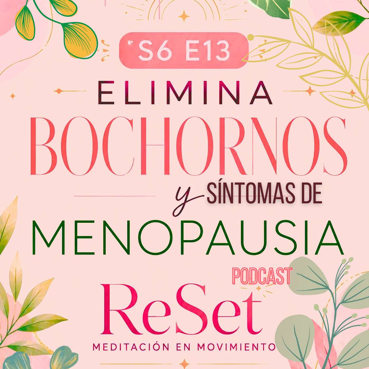 S6 E13 Elimina Bochornos y síntomas de Menopausia episode artwork