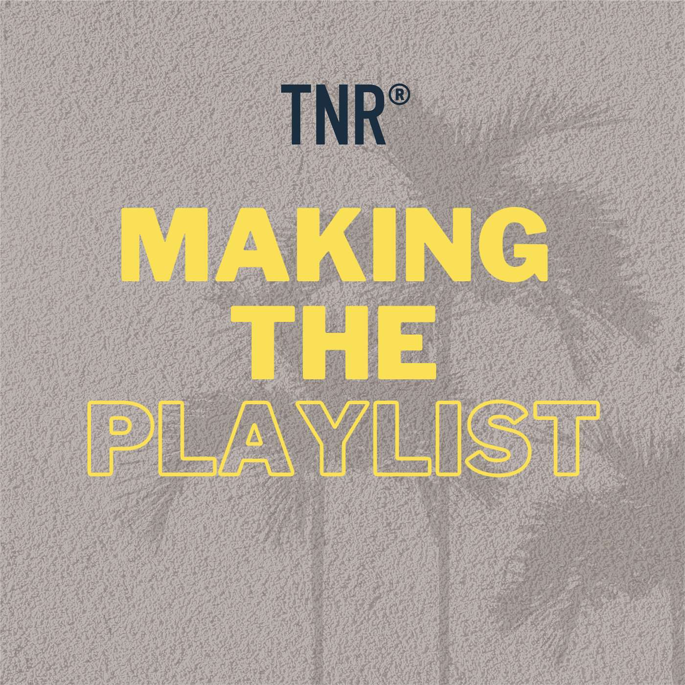 Making the Playlist- TNR Talks