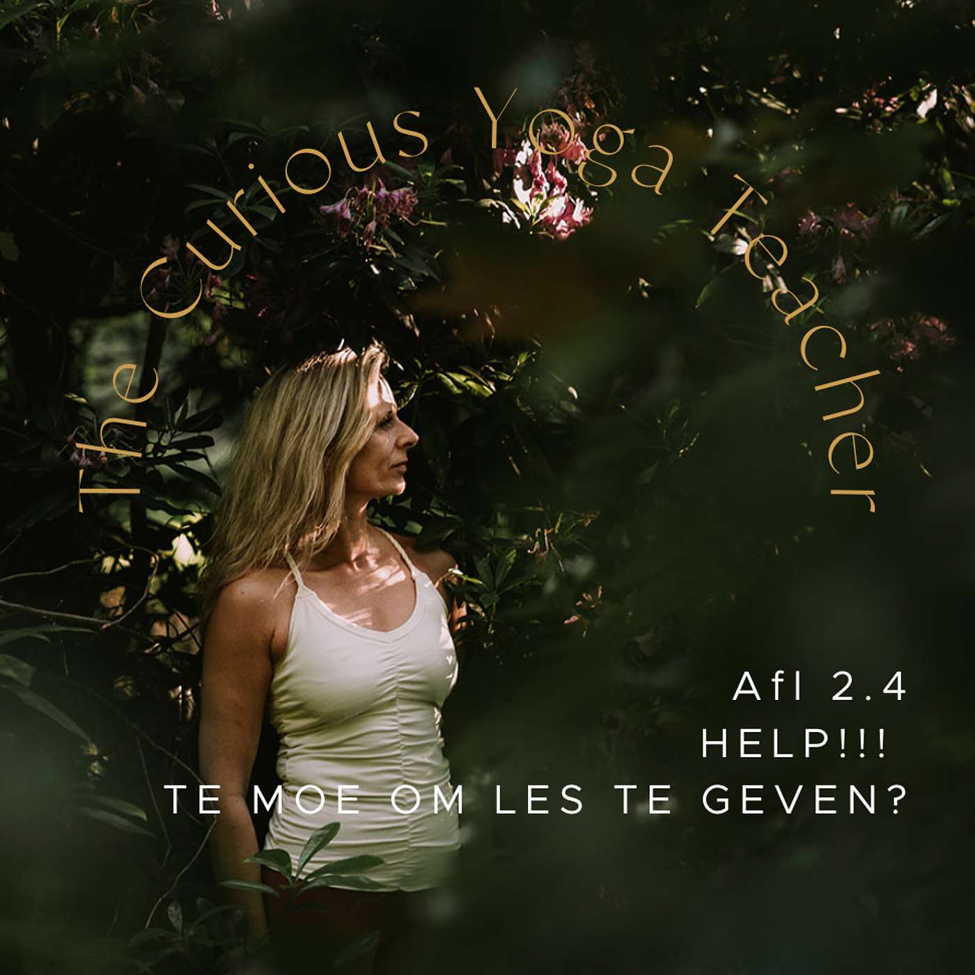 The Curious Yoga Teacher