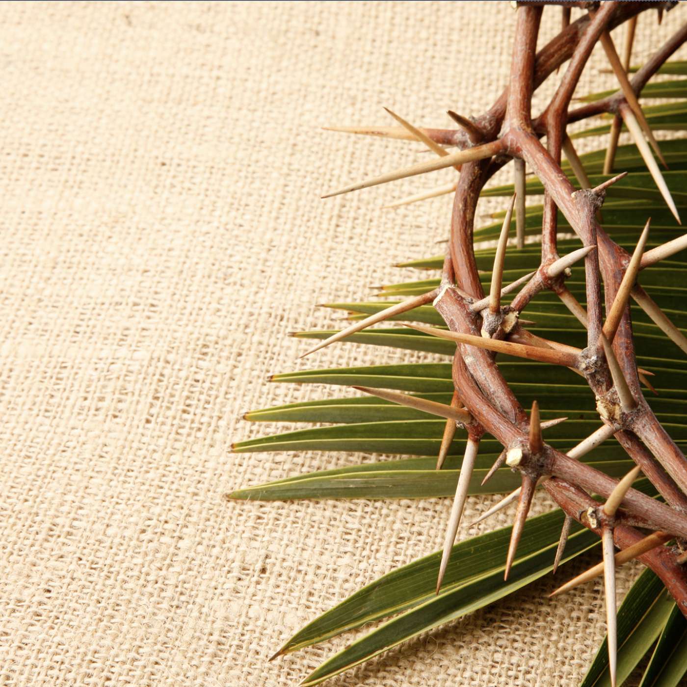 Approaching Christ’s Passion Week with Purpose