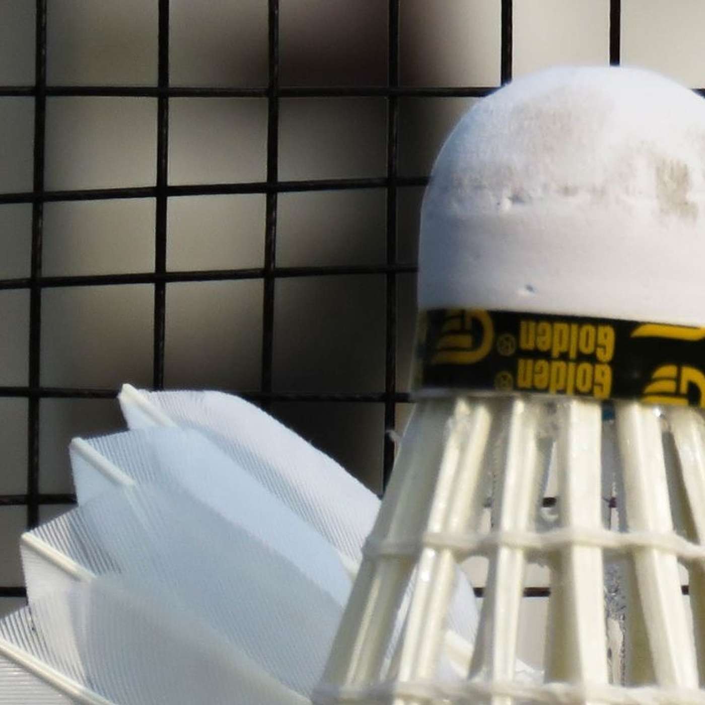 Badminton Rental Dubai: Find the Best Courts & Gear for an Epic Game!