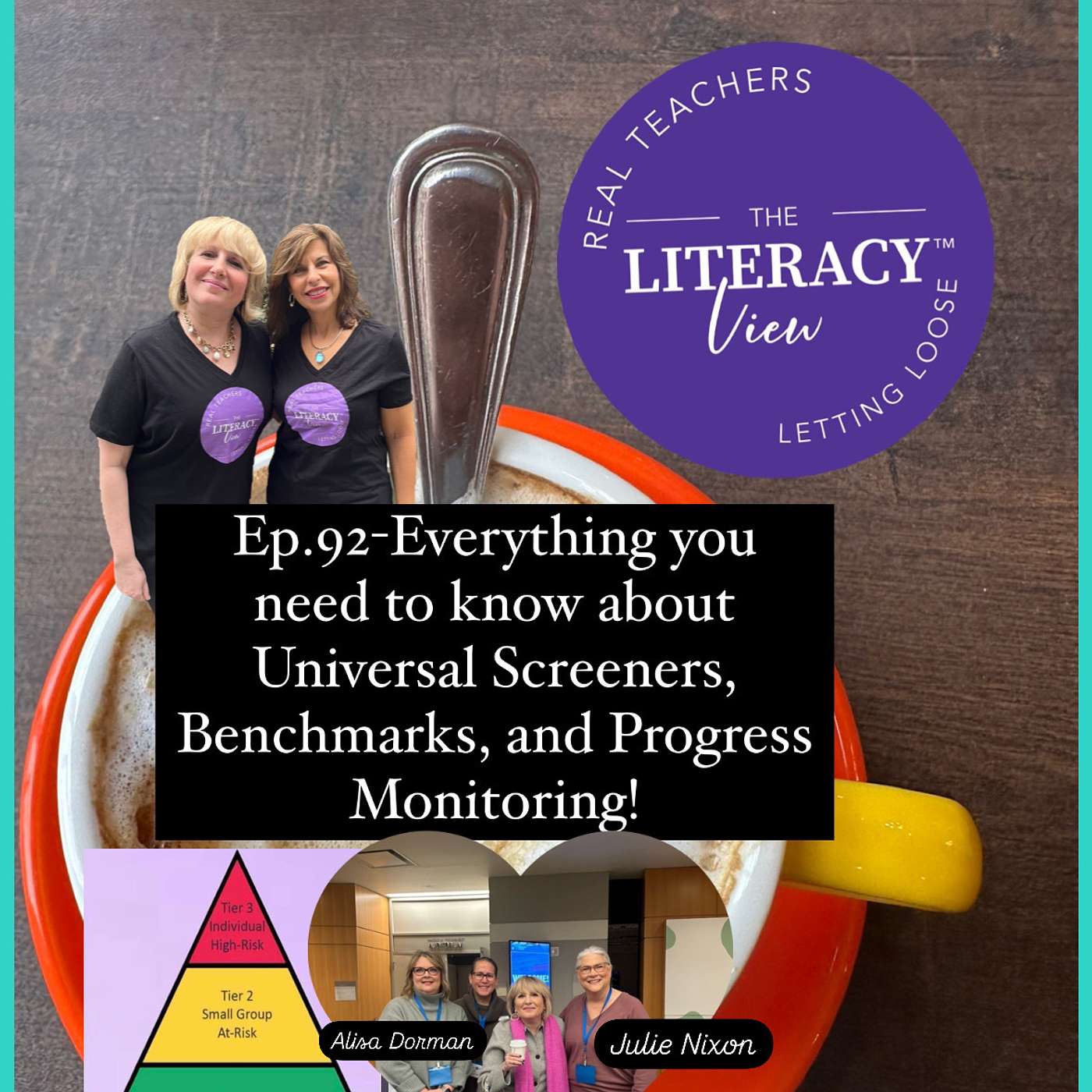 The Literacy View